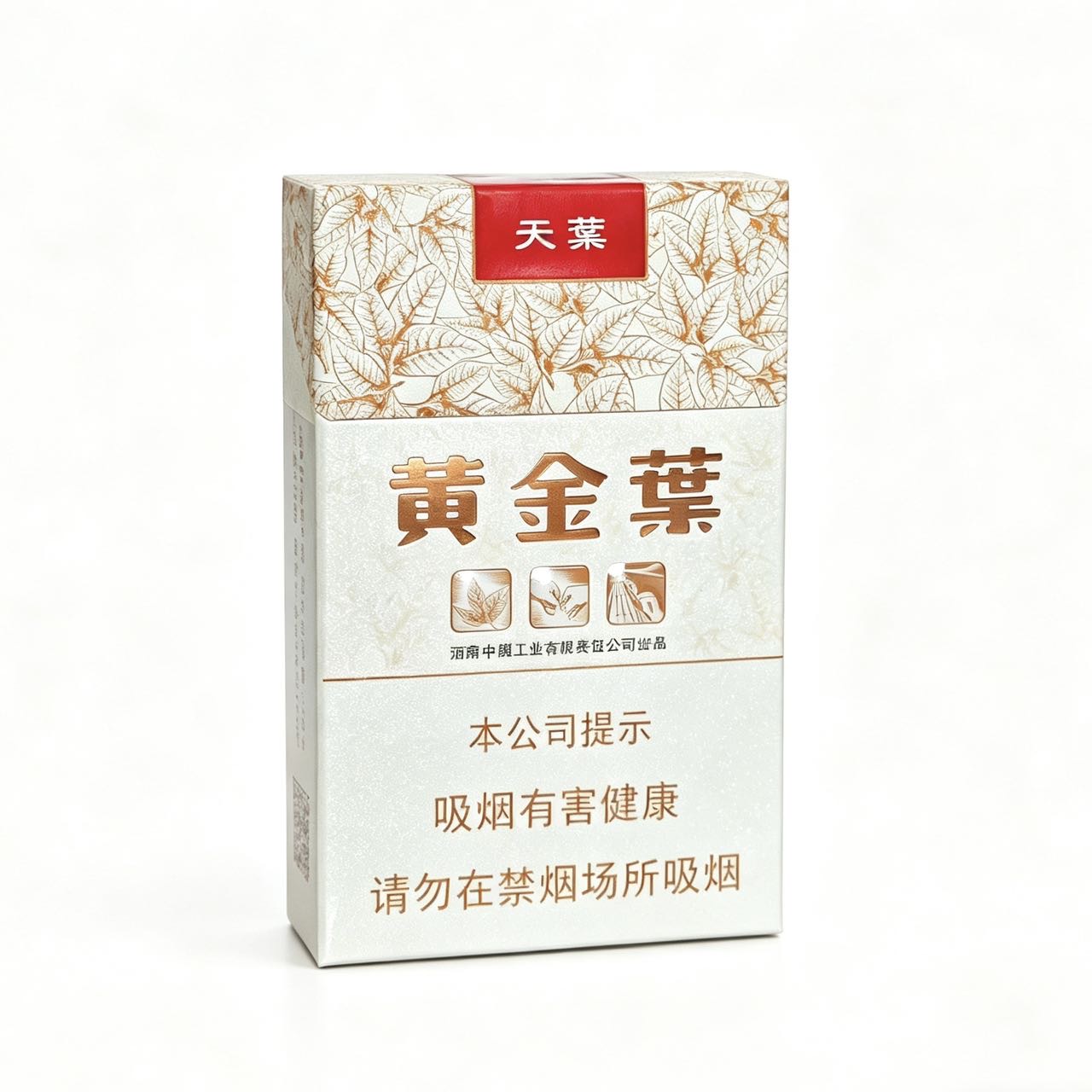 黄金叶(天叶)